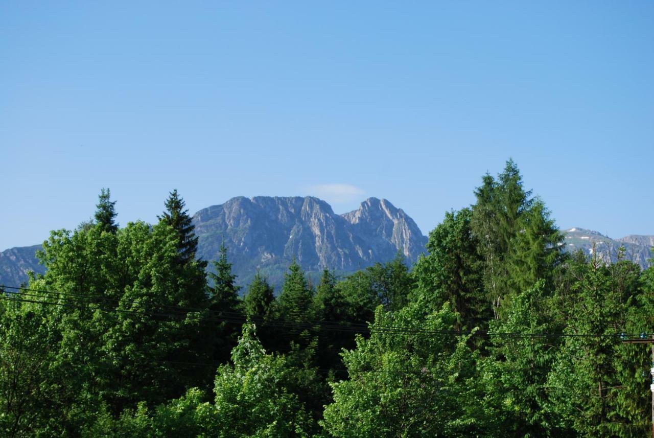 Willa Pod Bandera Zakopane Exteriér fotografie